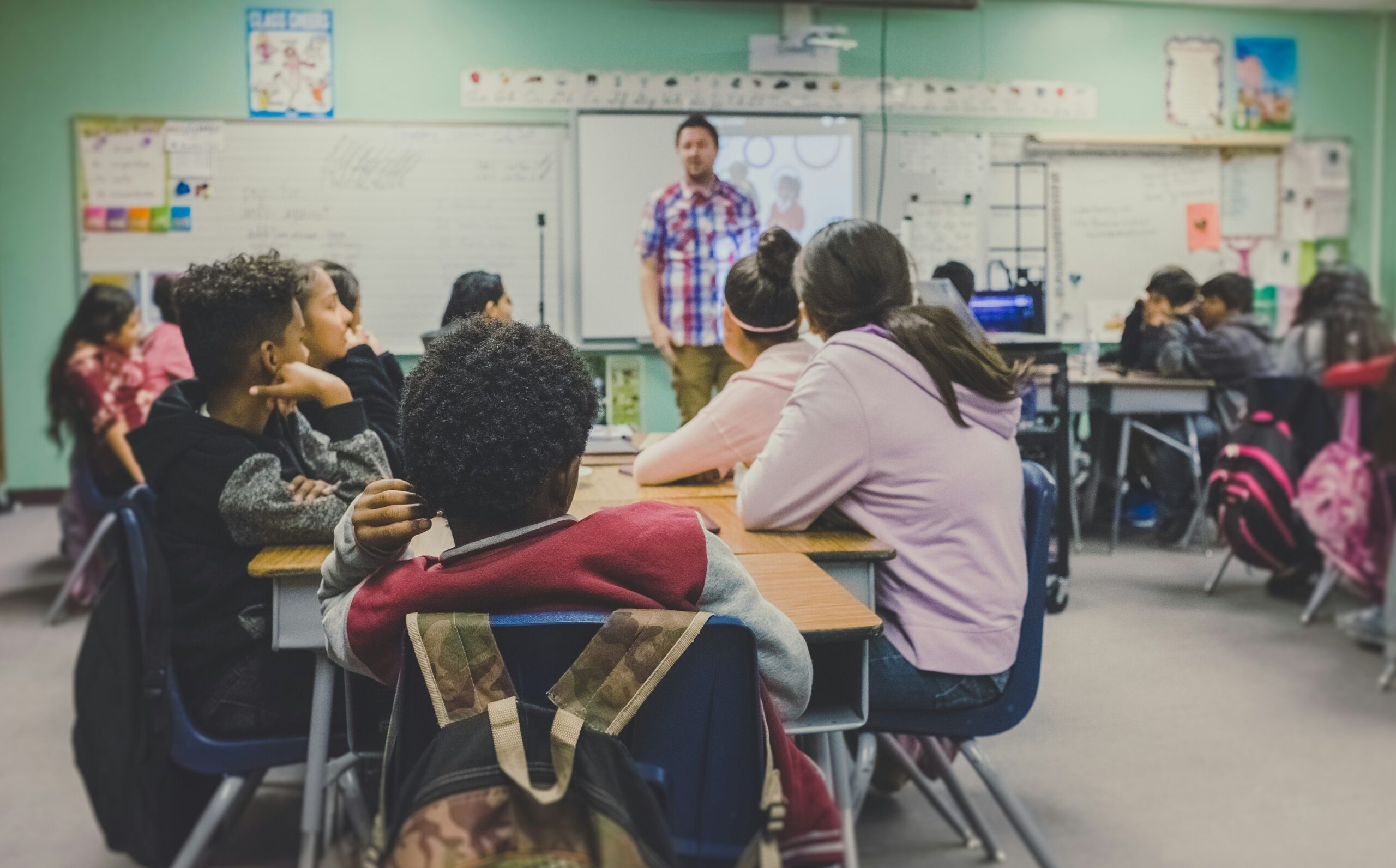 Martin Karp- Education