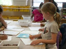 Shape Education